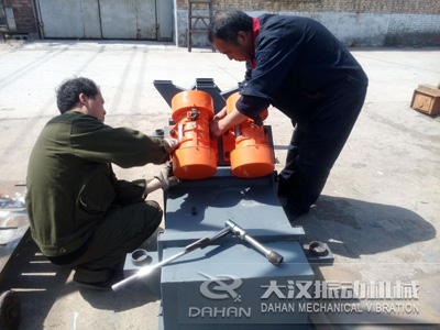 直線篩振動(dòng)電機(jī) 直線篩振動(dòng)電機(jī)