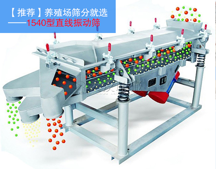 養殖場飼料直線振動篩
