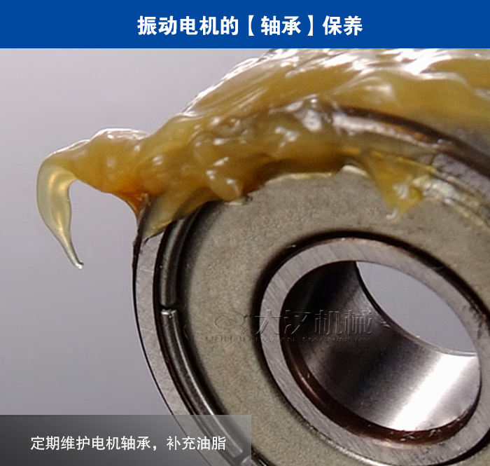 直線篩振動(dòng)電機(jī)